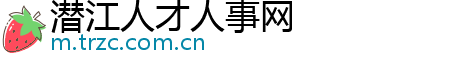 潜江人才人事网